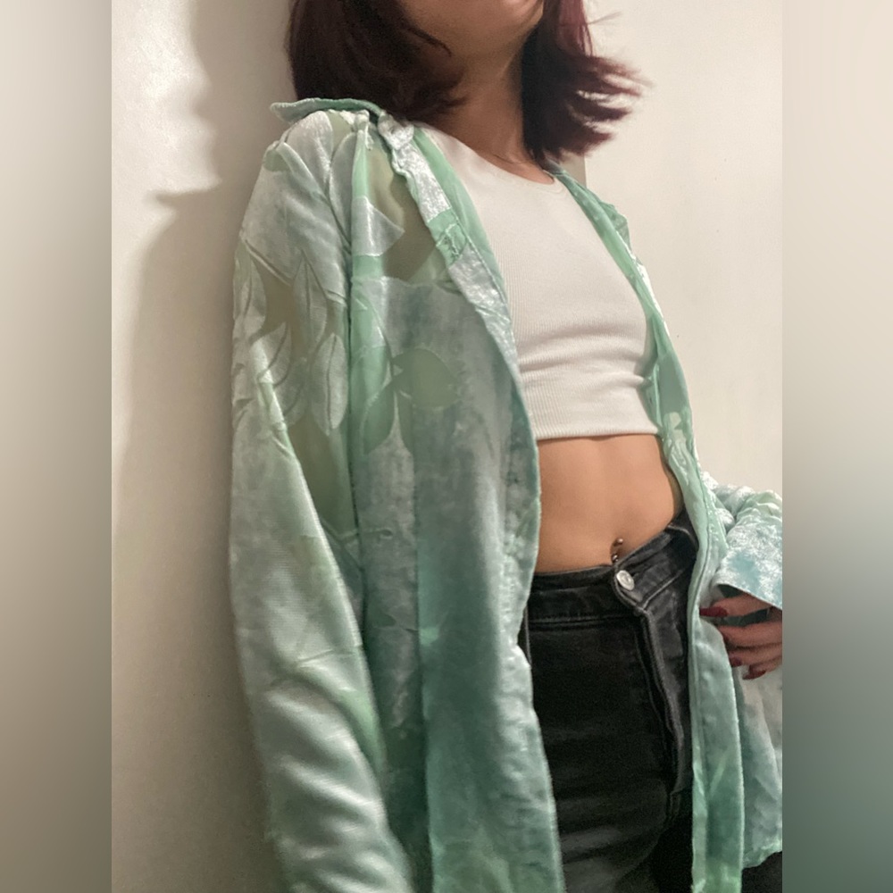blue/green sheer top with faux velvet button up